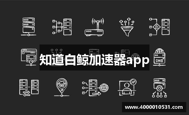 知道白鲸加速器app